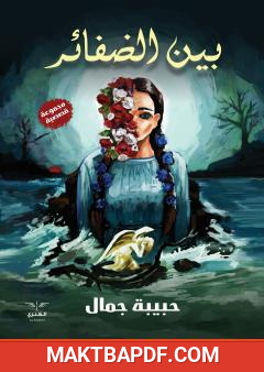 غلاف كتاب بين الضفائر