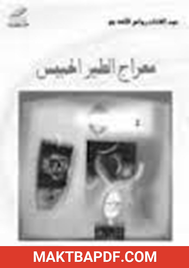 غلاف كتاب معراج الطير الحبيس